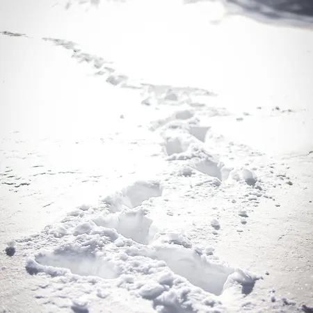 Apartment Tdi - Modern 2-bedroom In Nature