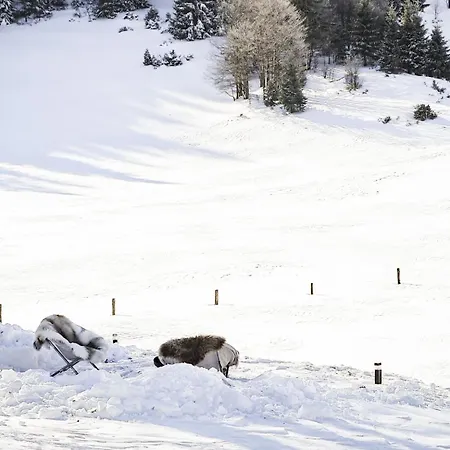 Tdi - Modern 2-bedroom In Nature Kanji Dol
