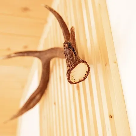 Tdi - Modern 2-bedroom In Nature Apartament Kanji Dol