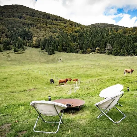 Tdi - Modern 2-bedroom In Nature Apartment Kanji Dol