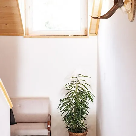 Tdi - Modern 2-bedroom In Nature * Kanji Dol