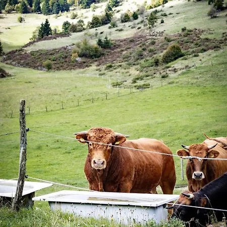 Tdi - Modern 2-bedroom In Nature Apartament