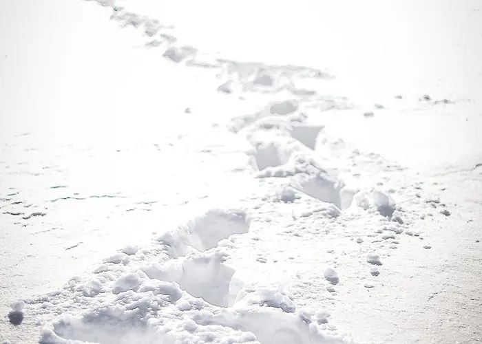 Daire Tdi - Modern 2-bedroom In Nature