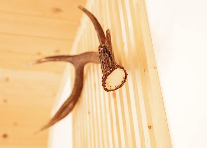 Tdi - Modern 2-bedroom In Nature Daire Kanji Dol