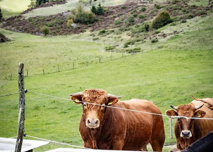 Tdi - Modern 2-bedroom In Nature Daire